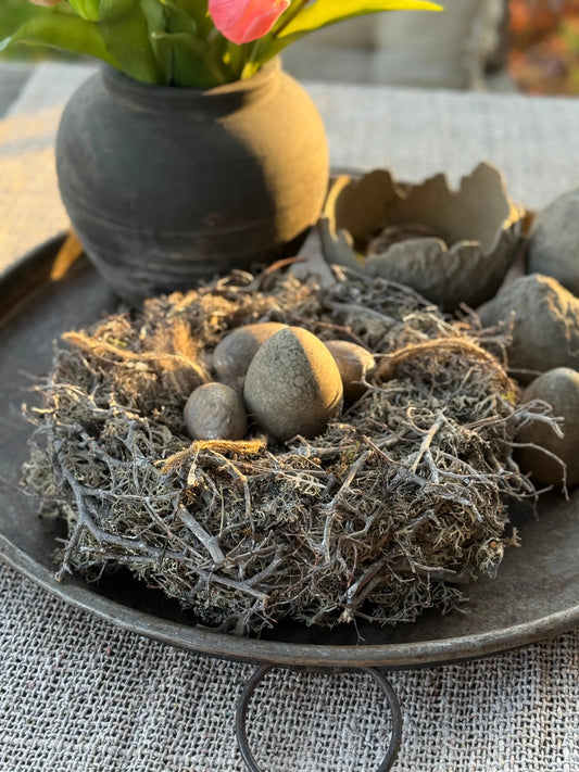 Nest aus grauem Moos und Bonsai, 30 cm.