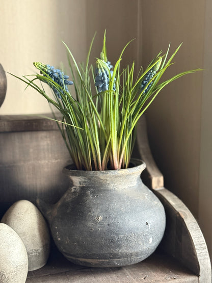 Art pot with blue grape hyacinths