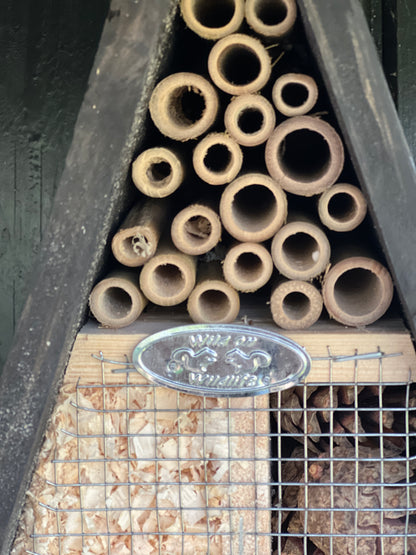 Insect hotel wigwam