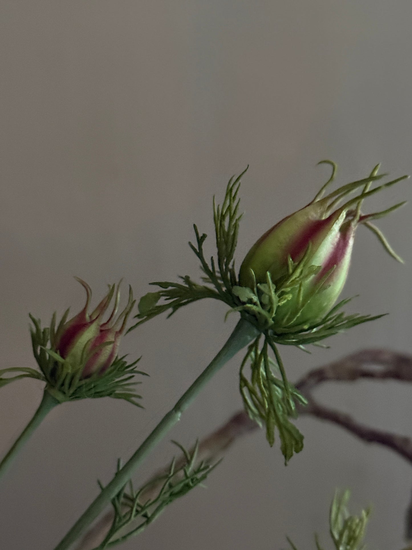 Artificial flower Nigella purple with closed bud