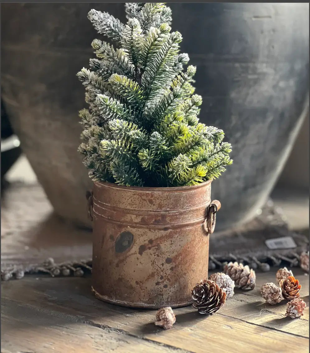 Rusted pot