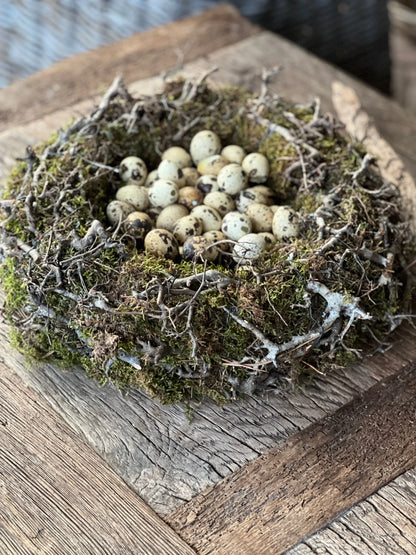 Quail eggs