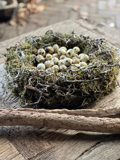Bonsai Nest with Moss – Green Brown – 40 cm