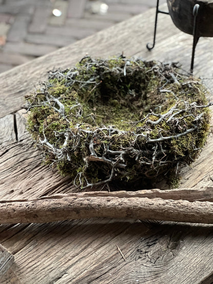 Bonsai Nest with Moss – Green Brown – 40 cm