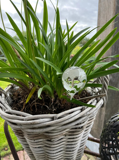 Globe watering bulb
