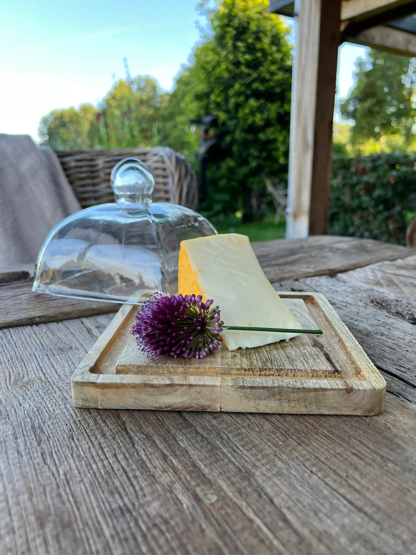 Luxury dome square available in M ​​and L