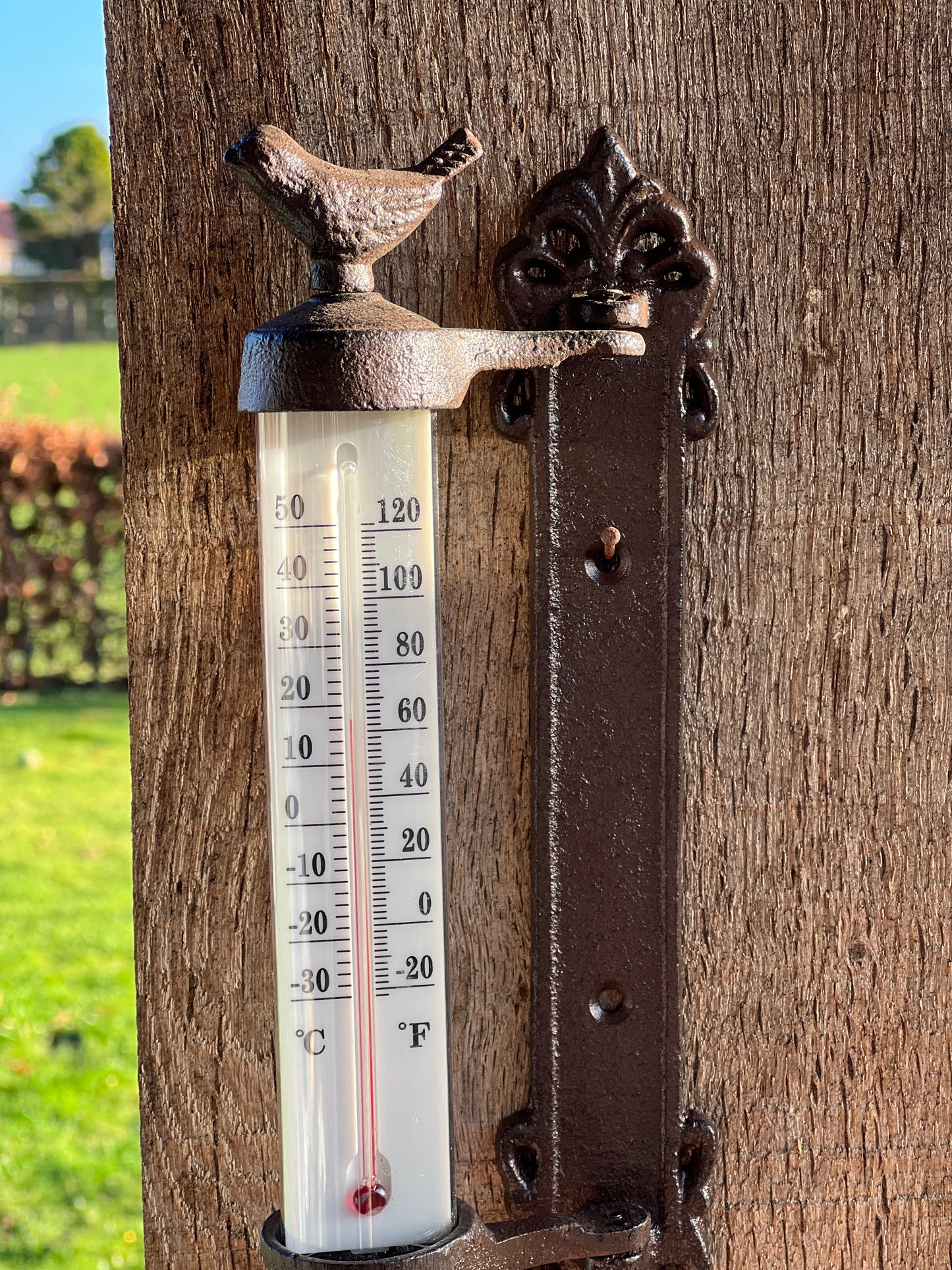 Frame thermometer