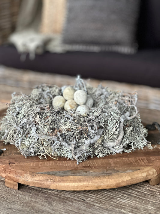 Nest van grijs mos en bonsai, 30 cm.