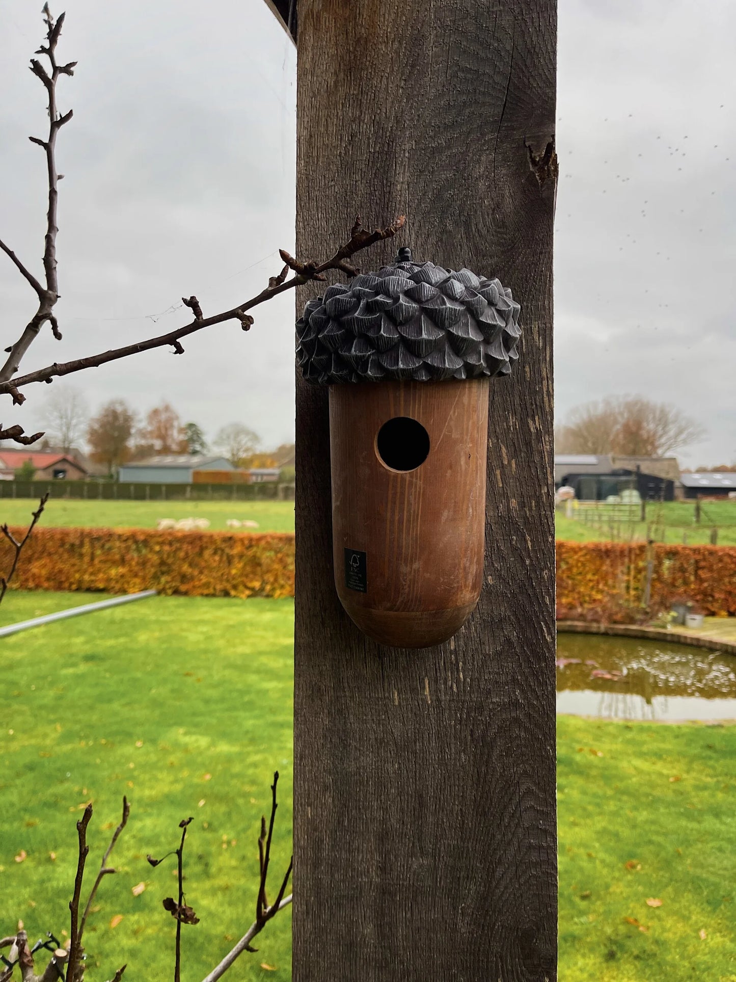 Nest box Acorn
