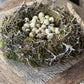 Bonsai nest, 40 cm.