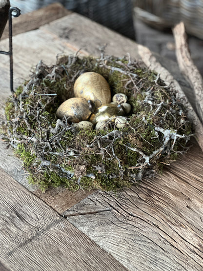 Bonsai nest, 40 cm.
