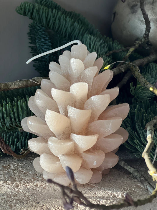 Candle pine cone Brynxz