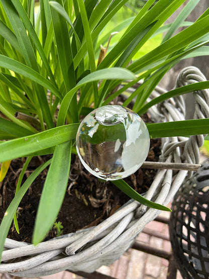 Globe watering bulb