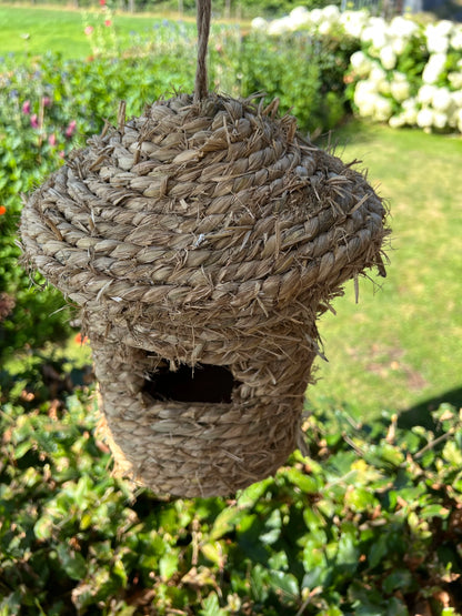 Bird's nest around straw