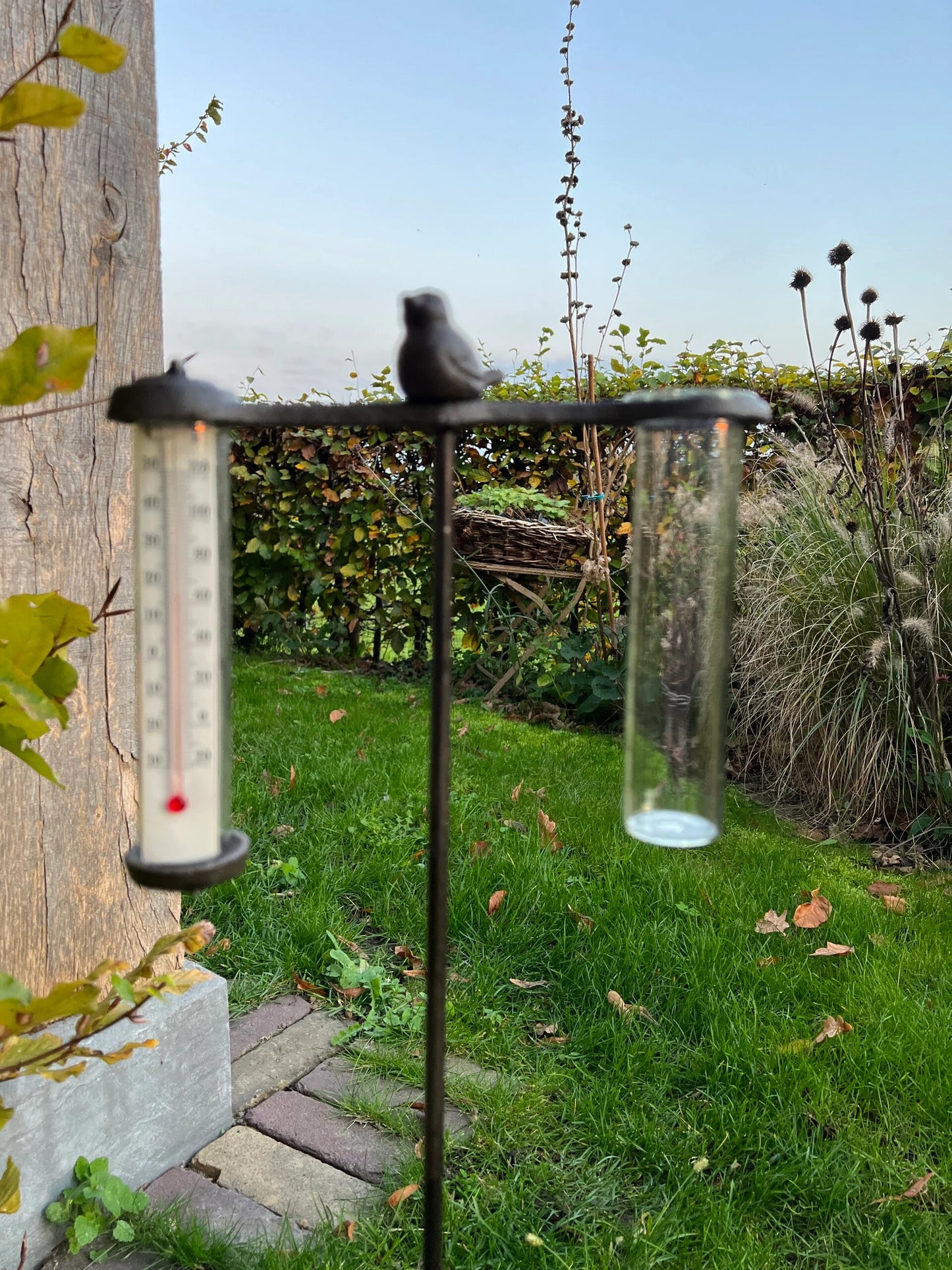 Rain/Temperature meter of cast iron