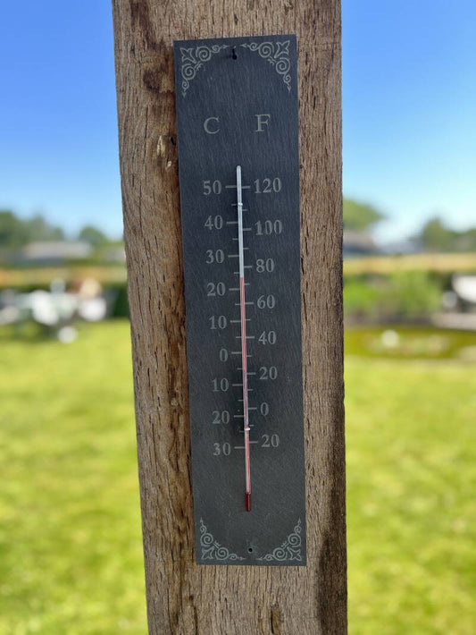 Thermometer Slate
